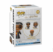 Load image into Gallery viewer, Harry Potter Gingerbread Funko Pop! Vinyl Figure #175