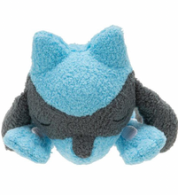 Load image into Gallery viewer, Pokémon Sleeping 5-Inch Plush
