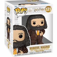 Load image into Gallery viewer, Harry Potter and the Prisoner of Azkaban Rubeus Hagrid Animal Pelt Outfit Super Funko Pop! Vinyl Figure #171
